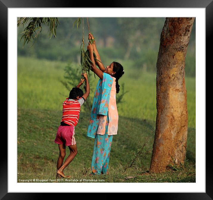 Play Time Framed Mounted Print by Bhagwat Tavri