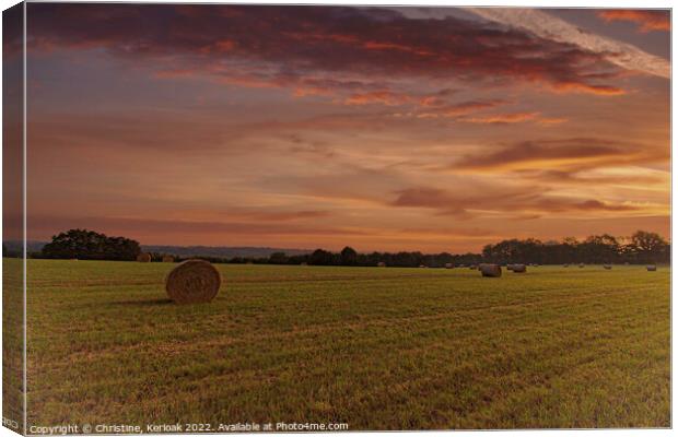 Countryside at Dawn Canvas Print by Christine Kerioak