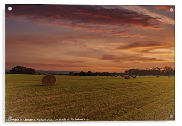 Countryside at Dawn Acrylic by Christine Kerioak