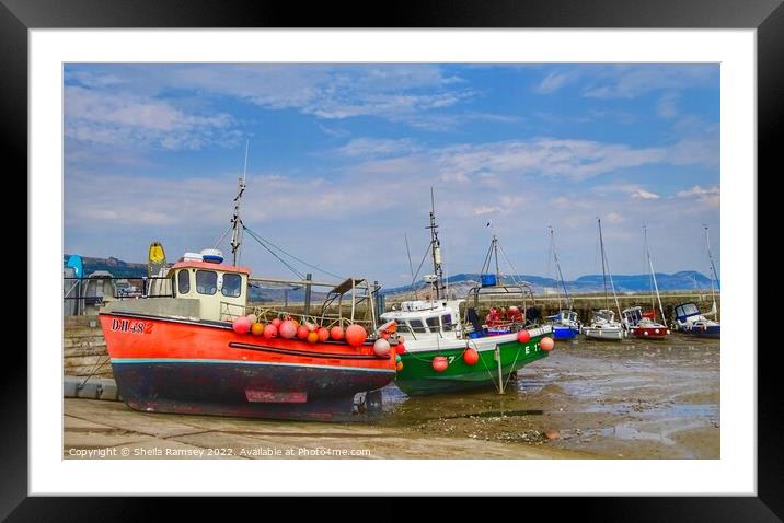 Fishing Boats Lyme Regis Framed Mounted Print by Sheila Ramsey