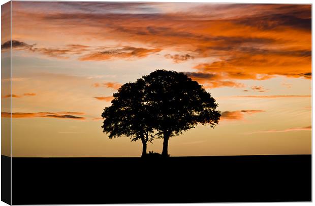 Sunrise Silhouette Canvas Print by Ian Collins