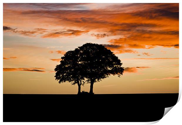 Sunrise Silhouette Print by Ian Collins