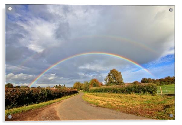 Double Rainbow Acrylic by Susan Snow