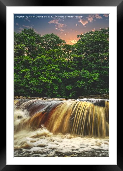 Richmond Falls Portrait  Framed Mounted Print by Alison Chambers