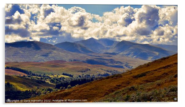 Glen Roy View-Scotland Acrylic by Dave Harnetty