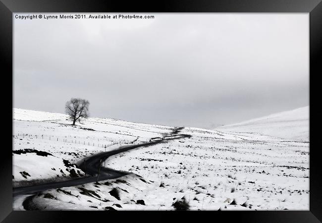 A Wintery Road Framed Print by Lynne Morris (Lswpp)