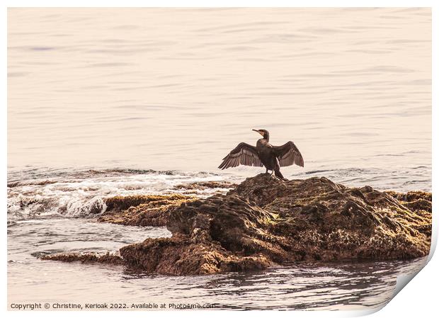 Cormorant with Outspread Wings Print by Christine Kerioak