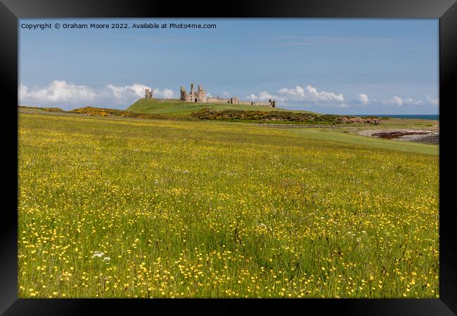 Dunstanburgh castle and wild flowers Framed Print by Graham Moore