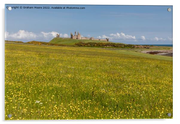 Dunstanburgh castle and wild flowers Acrylic by Graham Moore