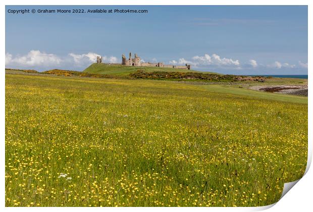 Dunstanburgh castle and wild flowers Print by Graham Moore
