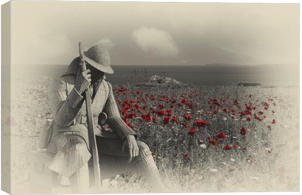 Tommy 1101, Remembrance Sunday  Canvas Print by kathy white
