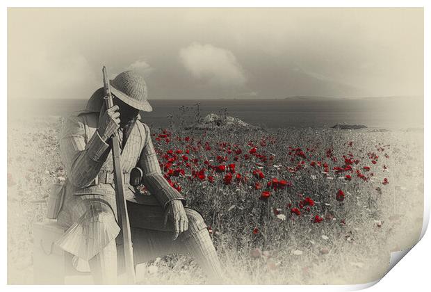 Tommy 1101, Remembrance Sunday  Print by kathy white