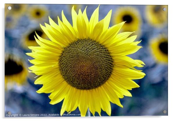 Summer Sunflower Acrylic by Laura Simons