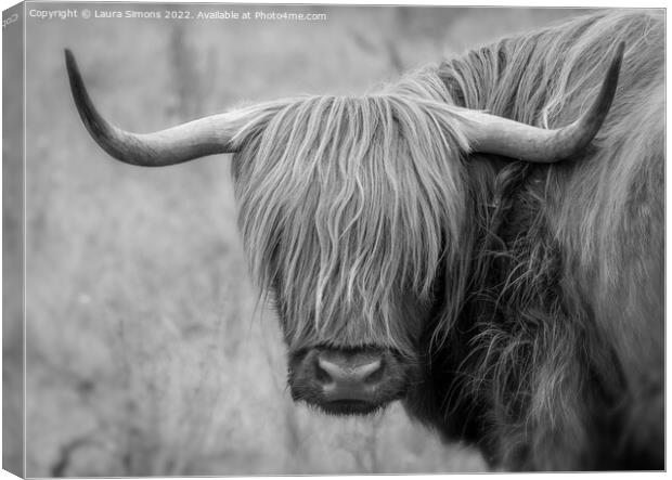 Highland Cow Canvas Print by Laura Simons
