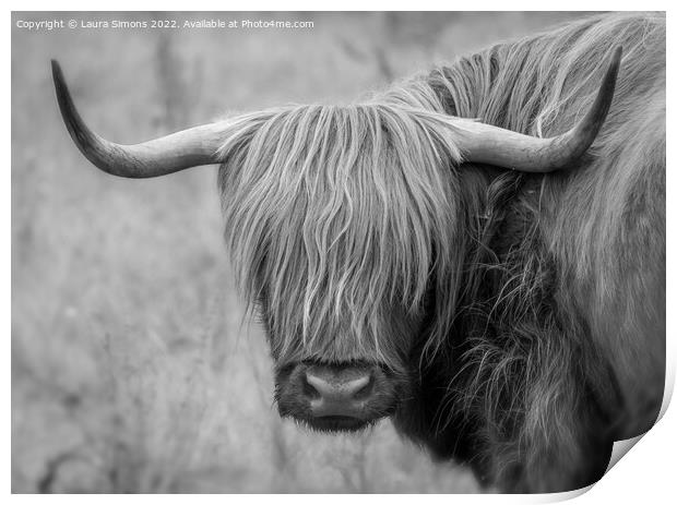 Highland Cow Print by Laura Simons