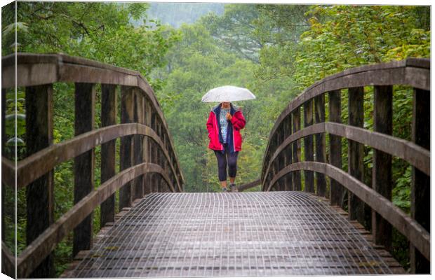 Walking in the rain Canvas Print by Leighton Collins