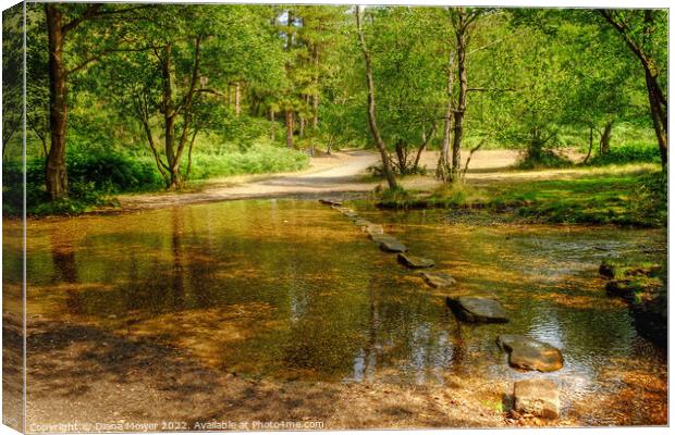 Cannock Stepping Stones Canvas Print by Diana Mower