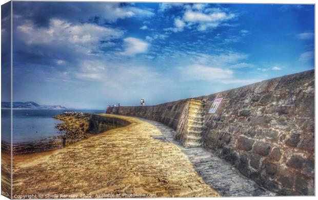 The Cobb Lyme Regis Canvas Print by Sheila Ramsey