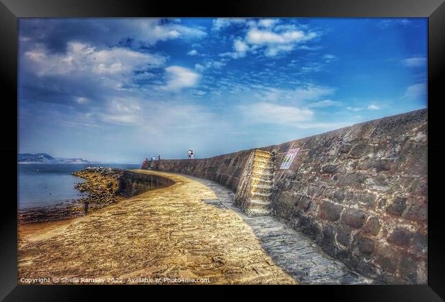 The Cobb Lyme Regis Framed Print by Sheila Ramsey