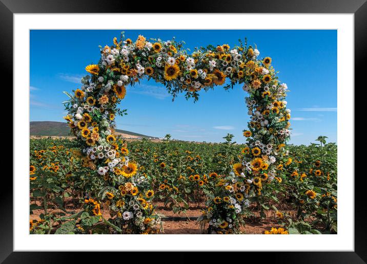 Heart of Sunflowers Framed Mounted Print by Wendy Williams CPAGB