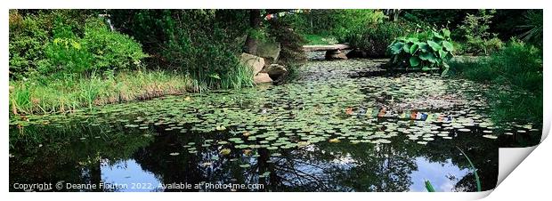 Peaceful Reflections Panorama Print by Deanne Flouton