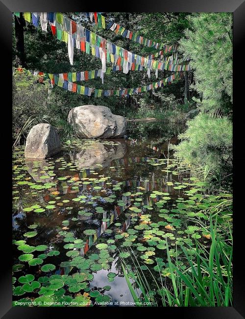 Tranquil Zen Pond Oasis Framed Print by Deanne Flouton