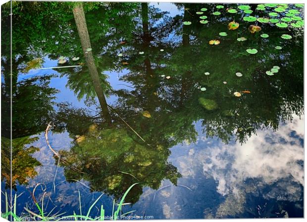 Serene Reflections Canvas Print by Deanne Flouton