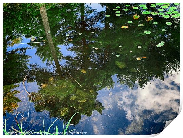 Serene Reflections Print by Deanne Flouton