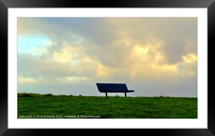 Solitary Park Bench Framed Mounted Print by Errol D'Souza
