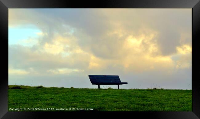 Solitary Park Bench Framed Print by Errol D'Souza