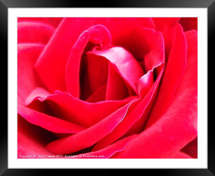 Heart of the Rose Framed Mounted Print by Laura Cassap