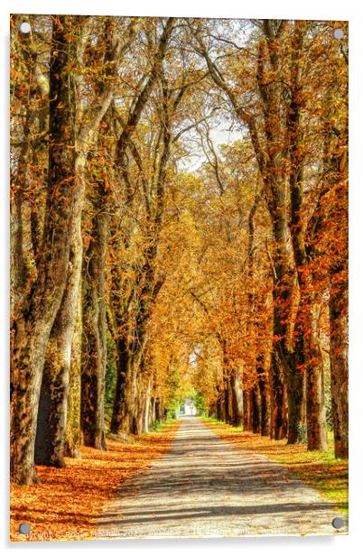 The Glowing Pathway Acrylic by Roger Mechan