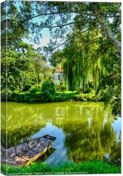 Serene Beauty of Coulon's Green Venice Canvas Print by Roger Mechan