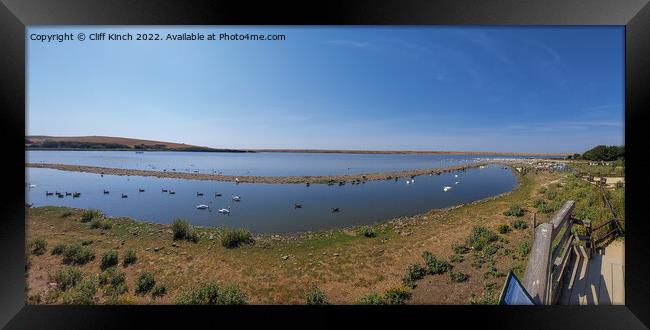 Majestic Mute Swans at Abbotsbury Framed Print by Cliff Kinch