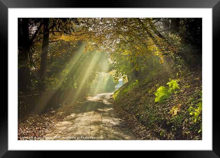 Malvern beams Framed Mounted Print by Ian Collins