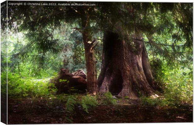 The Fairy Tree Canvas Print by Christine Lake