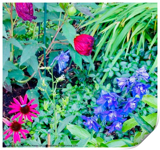 Colourful flowers Print by Stephanie Moore
