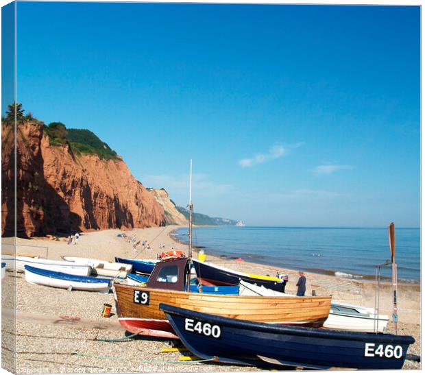 Beached boats at Sidmouth Canvas Print by Stephen Hamer