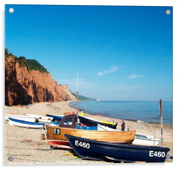 Beached boats at Sidmouth Acrylic by Stephen Hamer