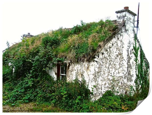 Ruined cottage Print by Stephanie Moore