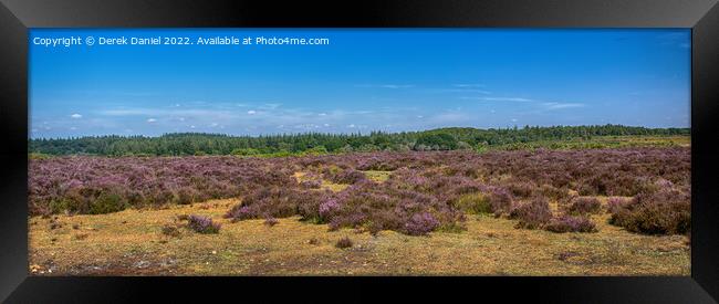  A field of Purple Heather Framed Print by Derek Daniel
