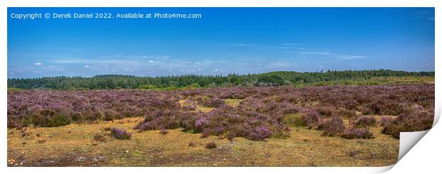  A field of Purple Heather Print by Derek Daniel