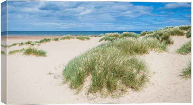 Sand dunes at Holkham Beach Canvas Print by Jason Wells
