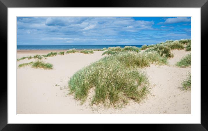 Sand dunes at Holkham Beach Framed Mounted Print by Jason Wells