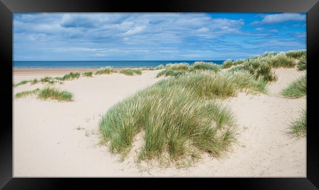 Sand dunes at Holkham Beach Framed Print by Jason Wells