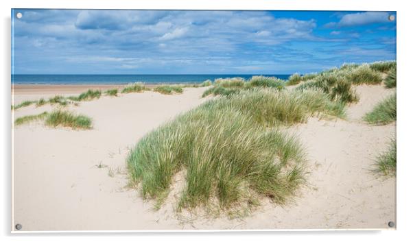 Sand dunes at Holkham Beach Acrylic by Jason Wells