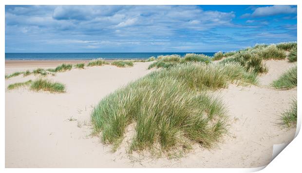 Sand dunes at Holkham Beach Print by Jason Wells