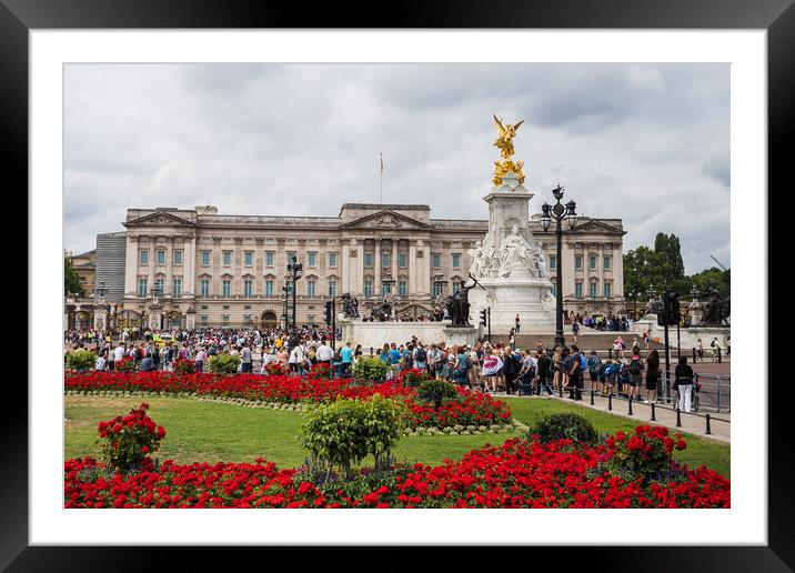 Flowers around Buckingham Palace Framed Mounted Print by Jason Wells