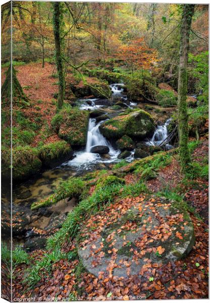 Autumn at Kennall Vale Millstone Canvas Print by Andrew Ray
