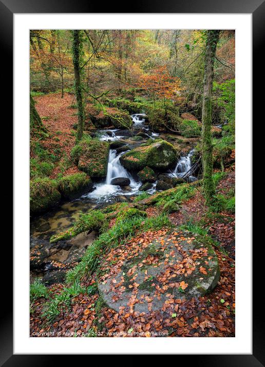 Autumn at Kennall Vale Millstone Framed Mounted Print by Andrew Ray